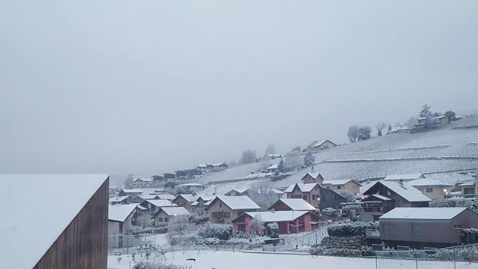 Le Manoir De Champlan Bed & Breakfast Grimisuat Dış mekan fotoğraf